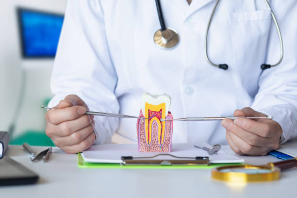Best Mobile Emergency Dentist in Elmwood Park, IL